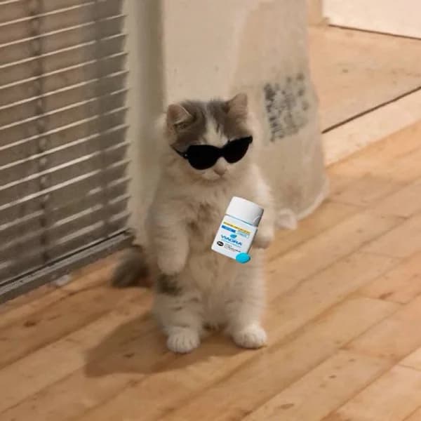 viagra pills sunglasses