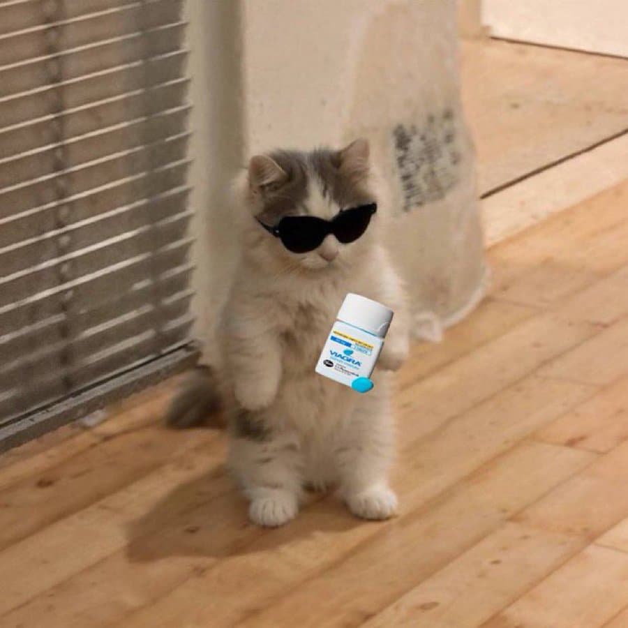 viagra pills sunglasses