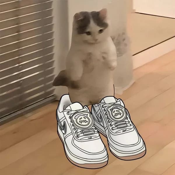 nike sneakers airforce funny