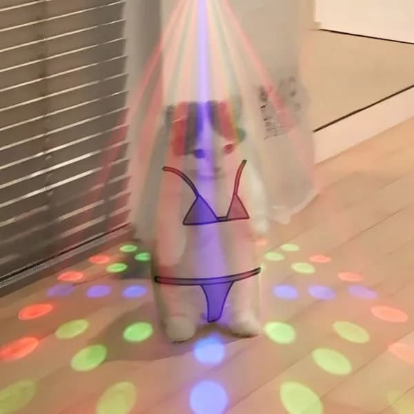 bikini dance disco