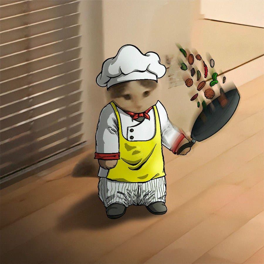 cook chef