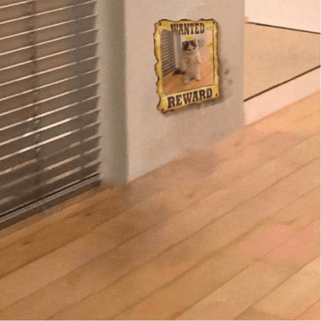 wantedposter western