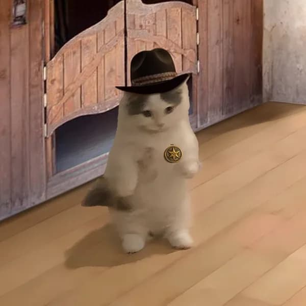 sherrif cop cowboy western
