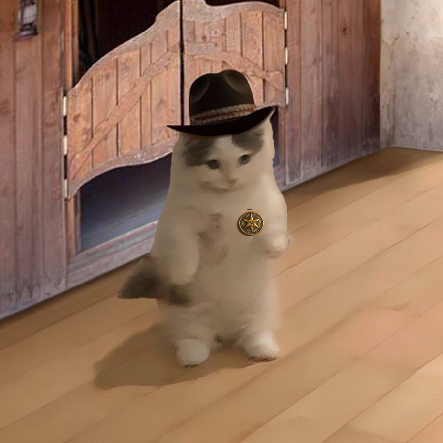 sherrif cop cowboy western