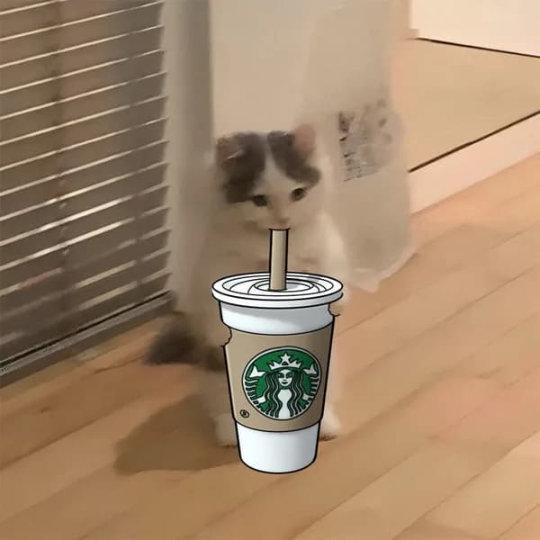 starbucks coffee