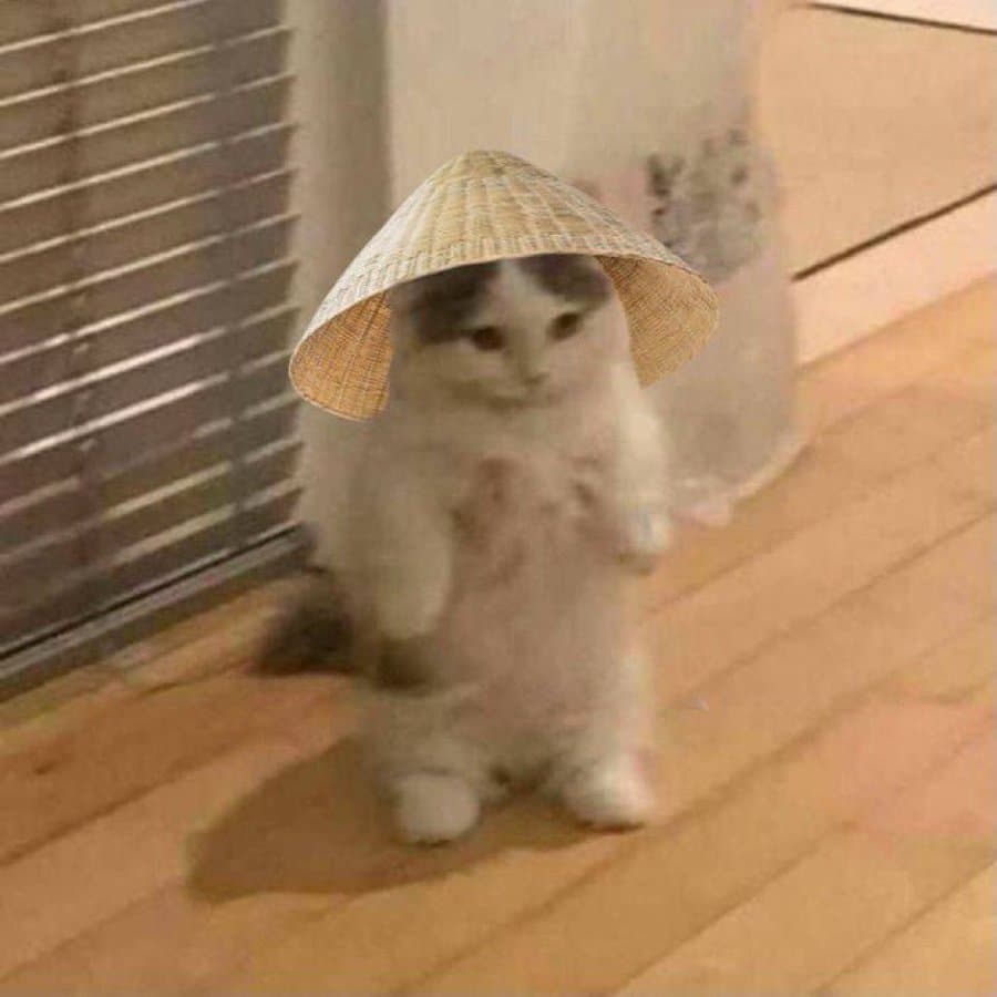 asian chinese strawhat