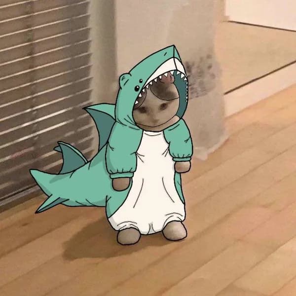 shark