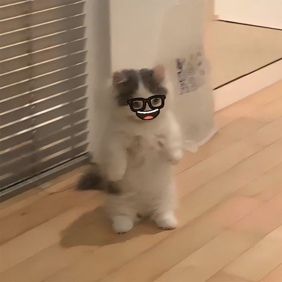 glasses funny laugh smile nerd