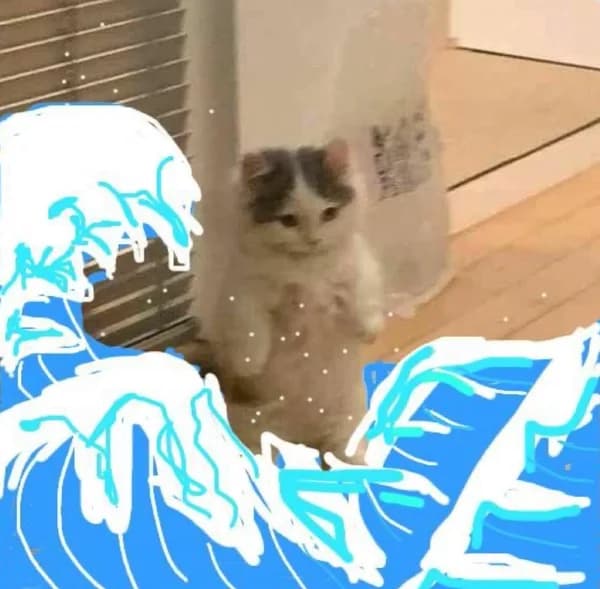 wave water ocean