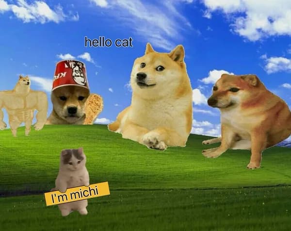 wif doge cheems