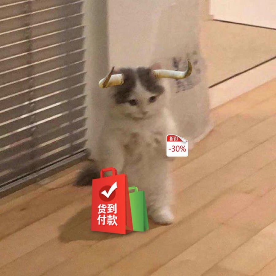 shopping bull bags chinese