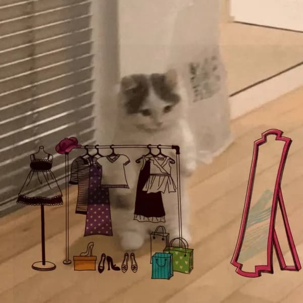 clothes closet hanger fashion style mirror shoes bags