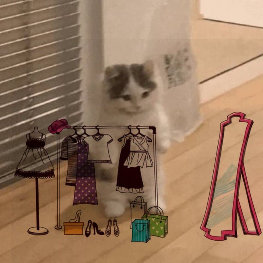 clothes closet hanger fashion style mirror shoes bags