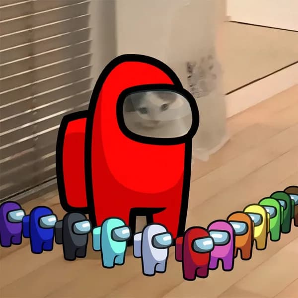 amongus sus