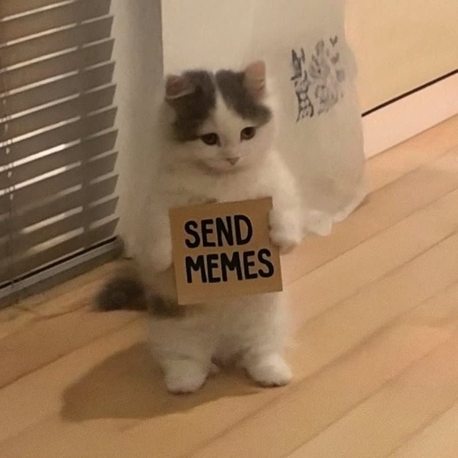 sendmemes sign