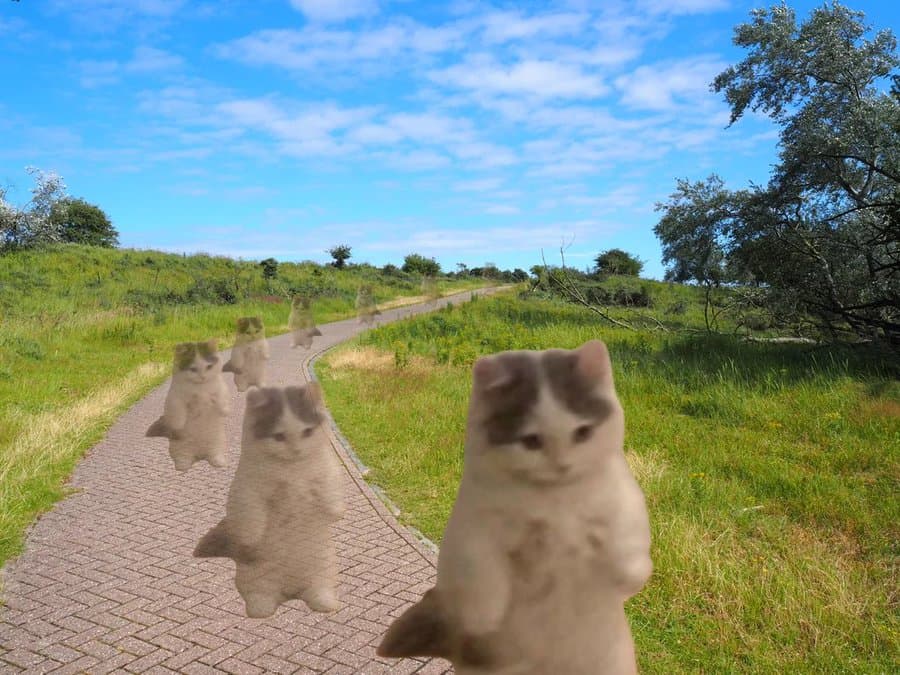 road group gang cult many outdoors walk