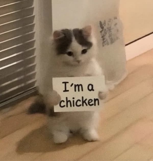 chicken sign