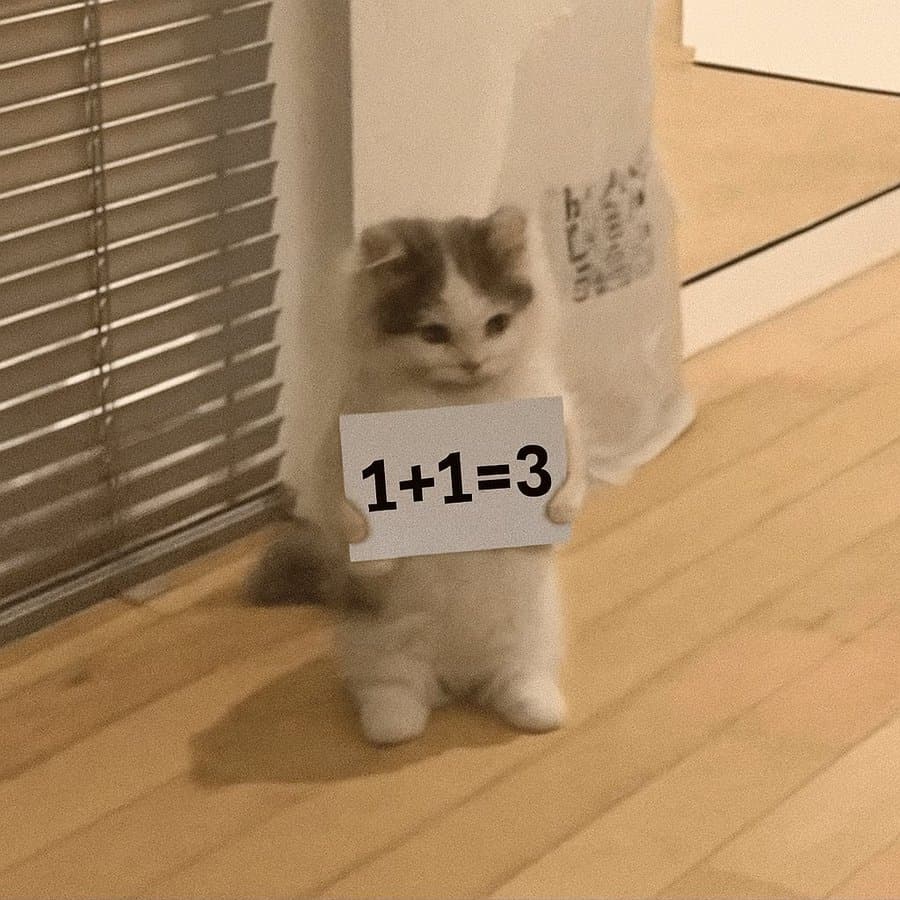 math plus three sign