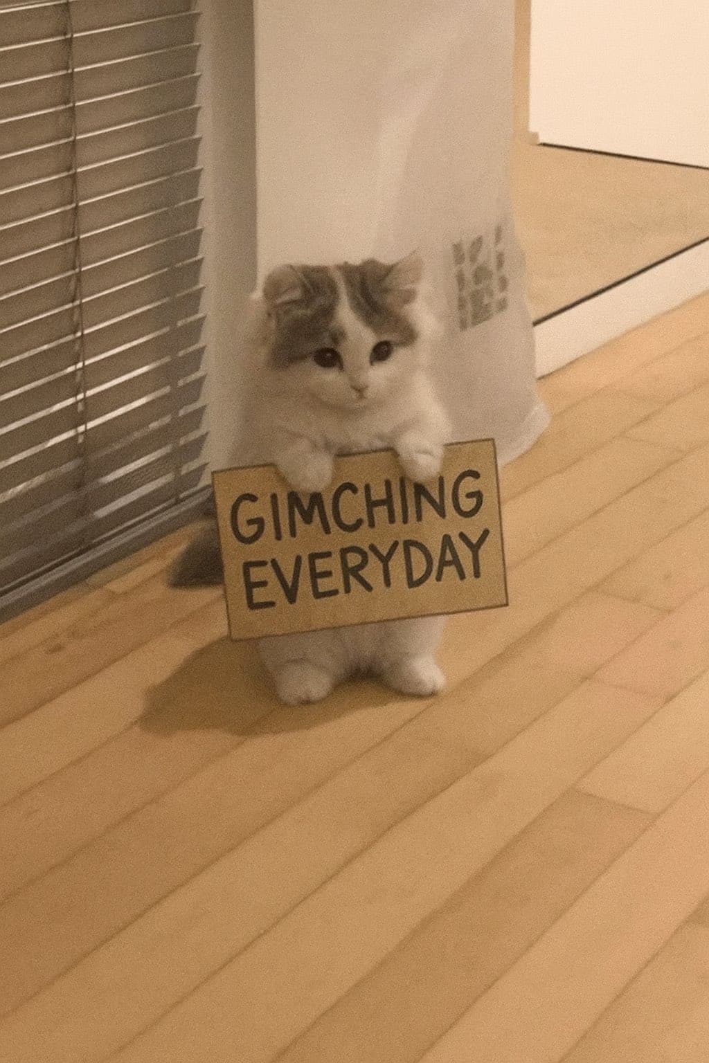 gmichi everyday sign