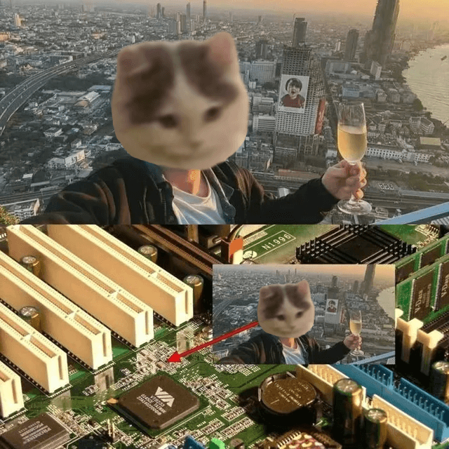 drink champagne alcohol chips