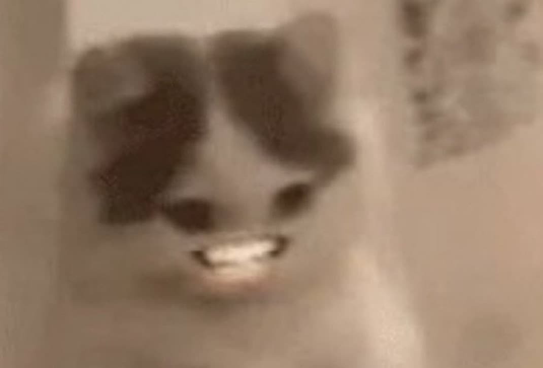 funny laugh lol smile