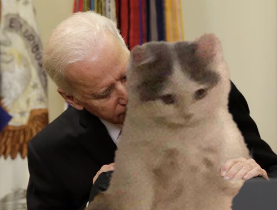 joe biden boden