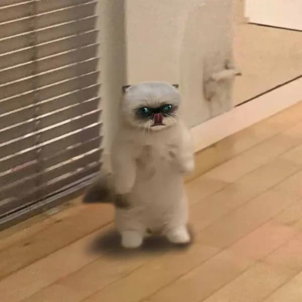 miggles