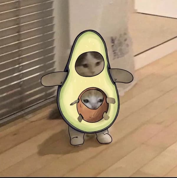 mini avocado