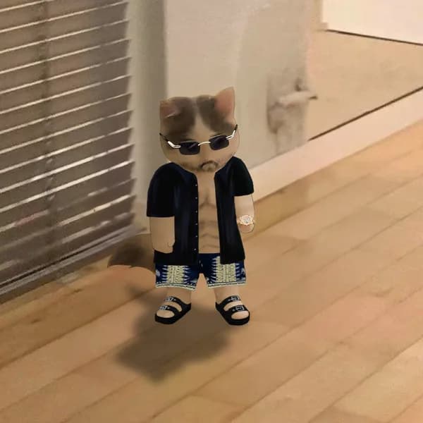 third sunglasses