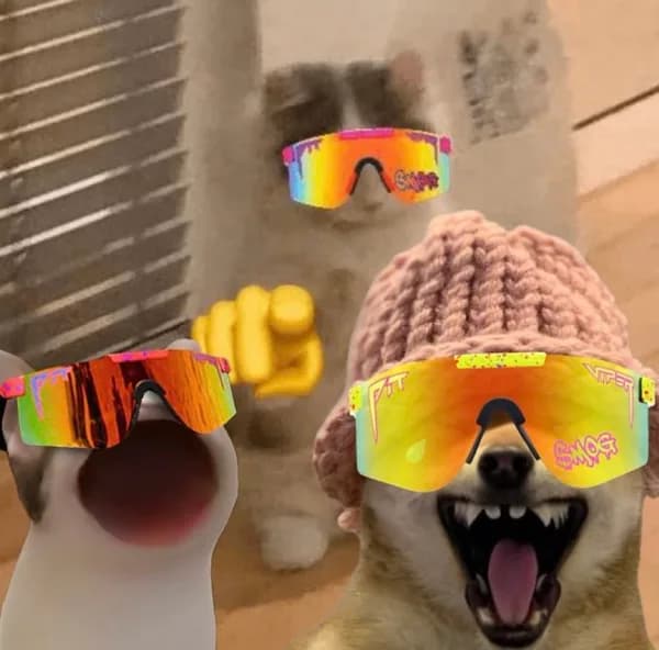 mog wif popcat