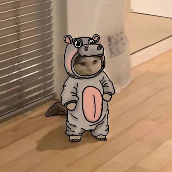 moodeng hippo