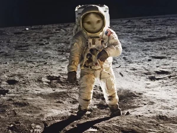 moon space funny cute