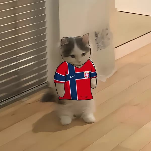 Landslaget Michi