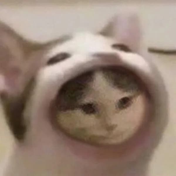 popcat