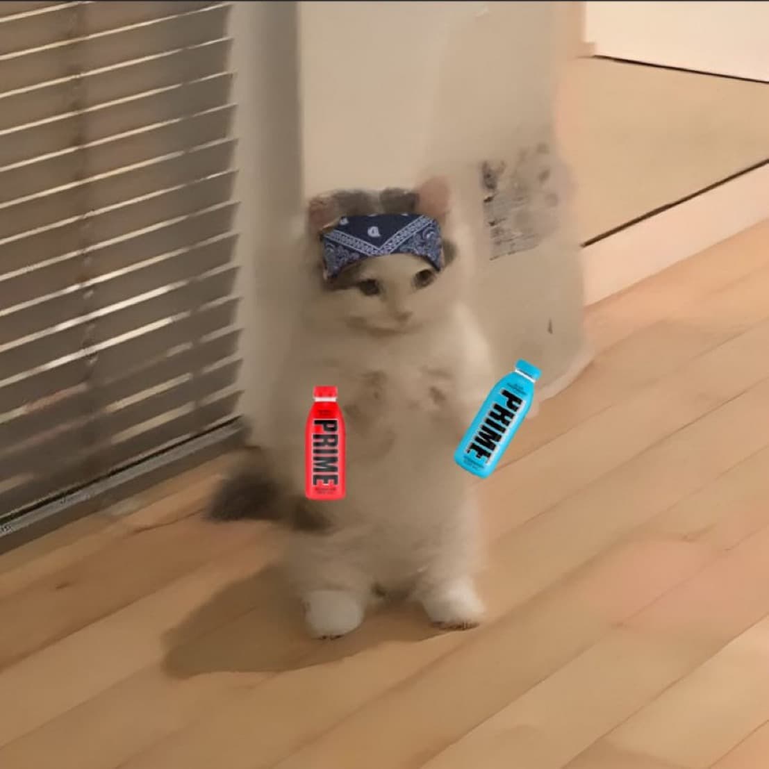 prime ksi kol influencer