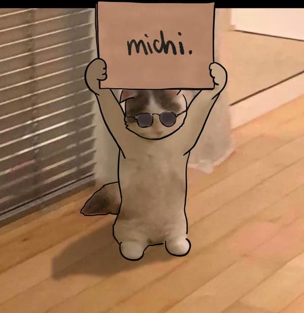 michi sign