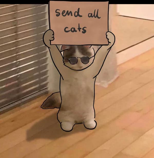sendallcats sign