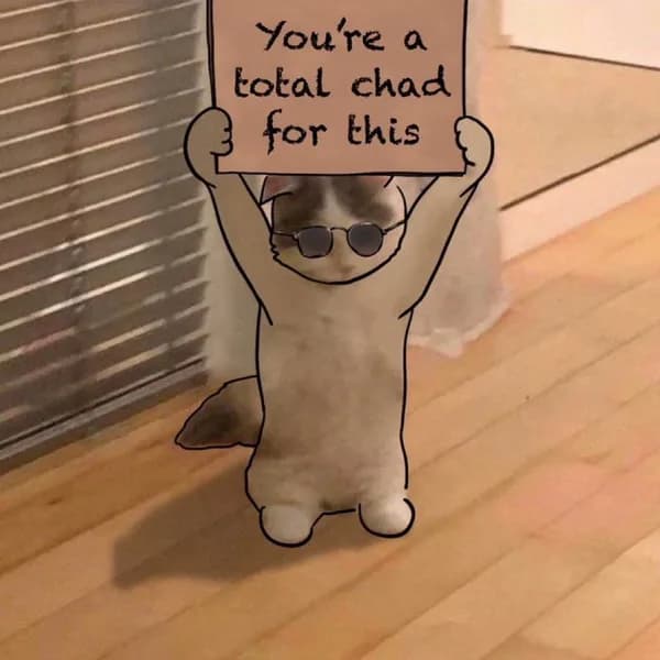youreatotalchadforthis sign