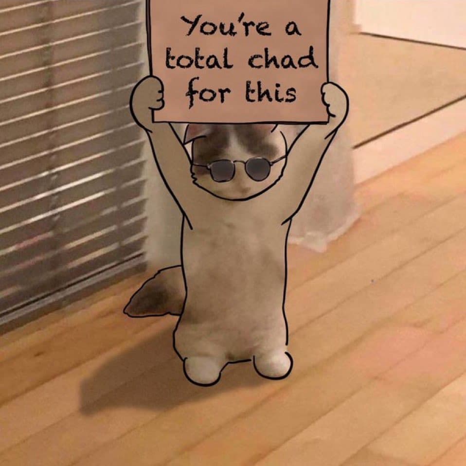 youreatotalchadforthis sign