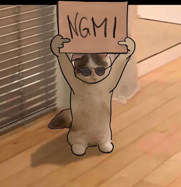 ngmi sign