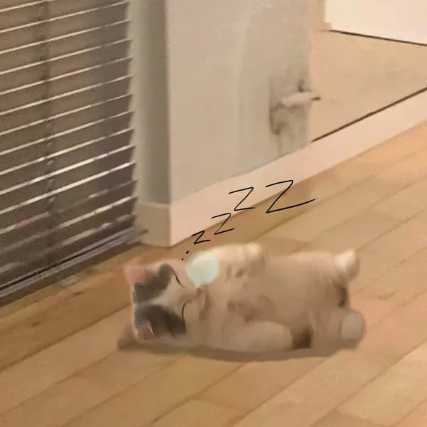 sleep sleeping gnichi cute