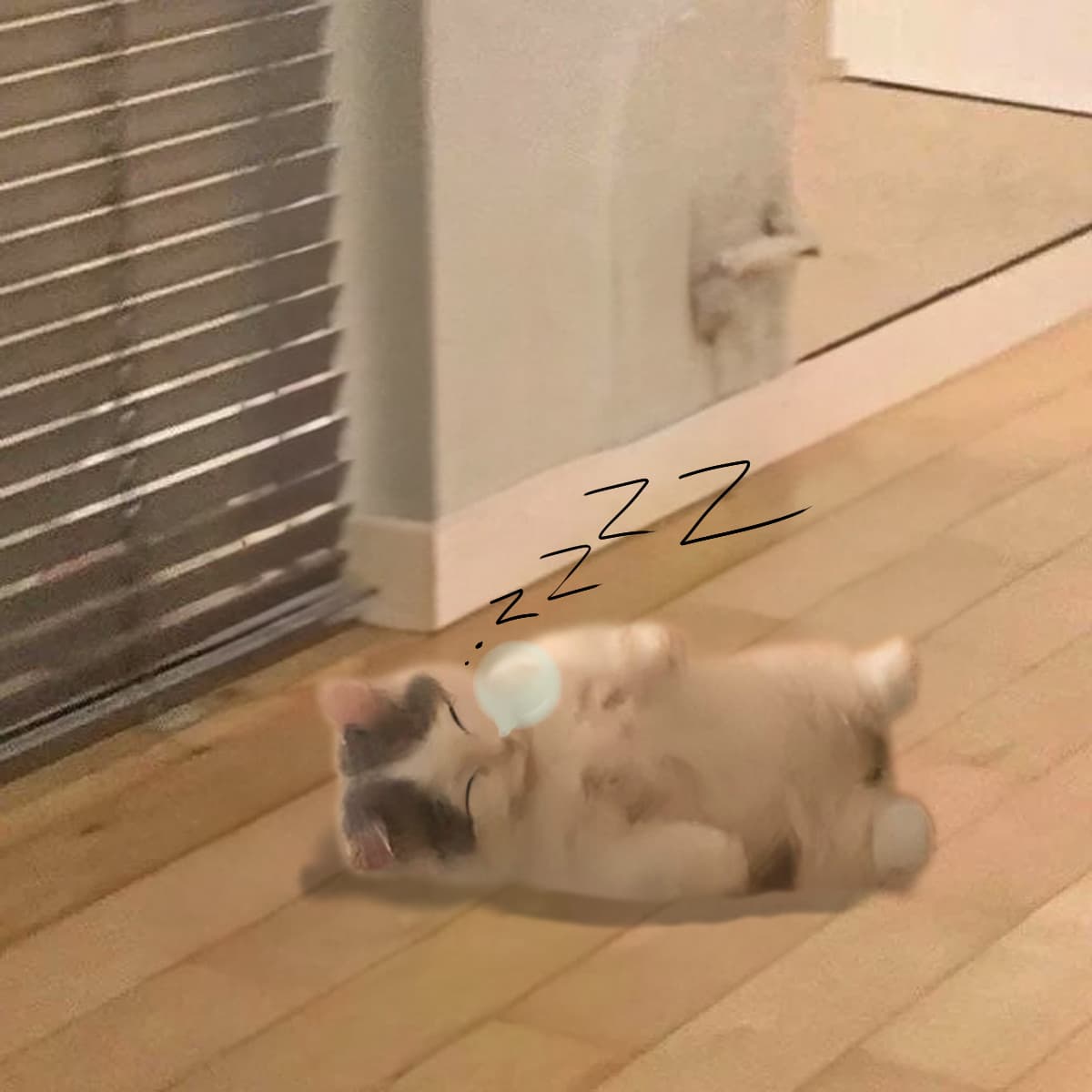 sleep sleeping gnichi cute