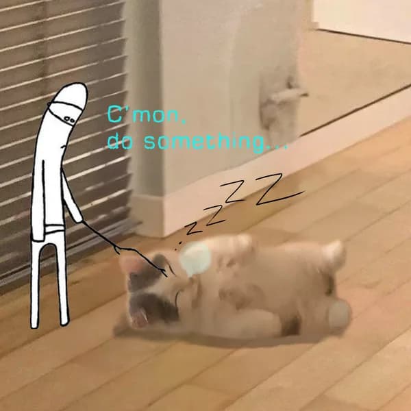 sleep gnichi poke funny