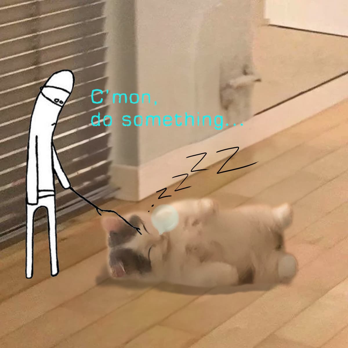 sleep gnichi poke funny