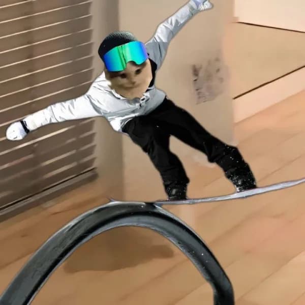 snowboard