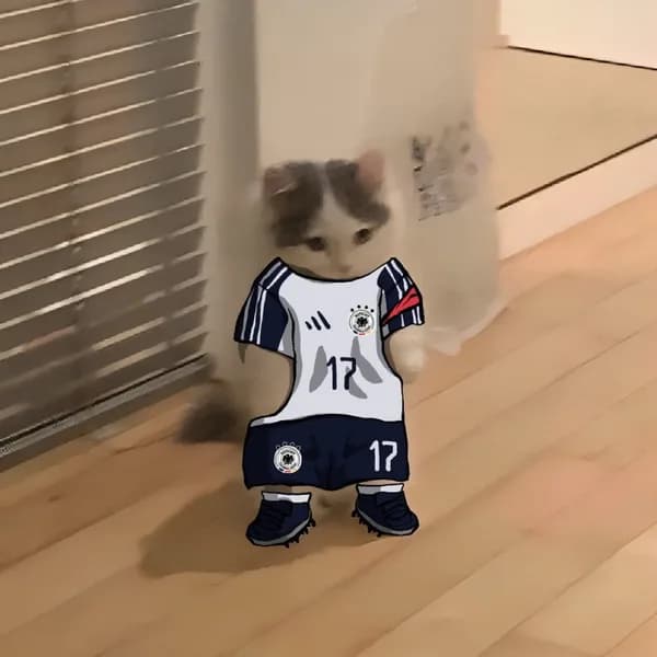 soccer football