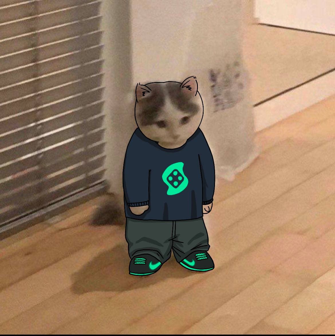 solcasino exchanges gamble