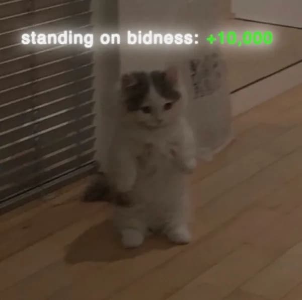 aura standingonbidness