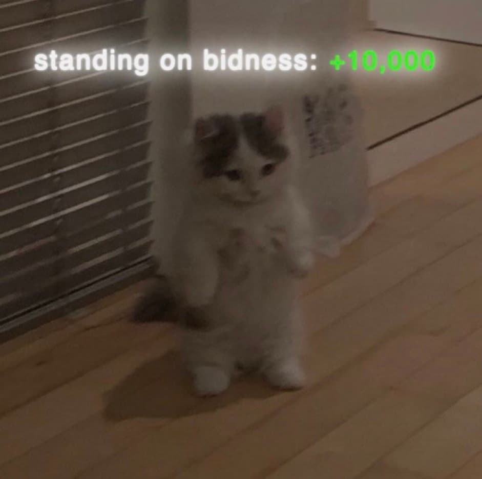 aura standingonbidness