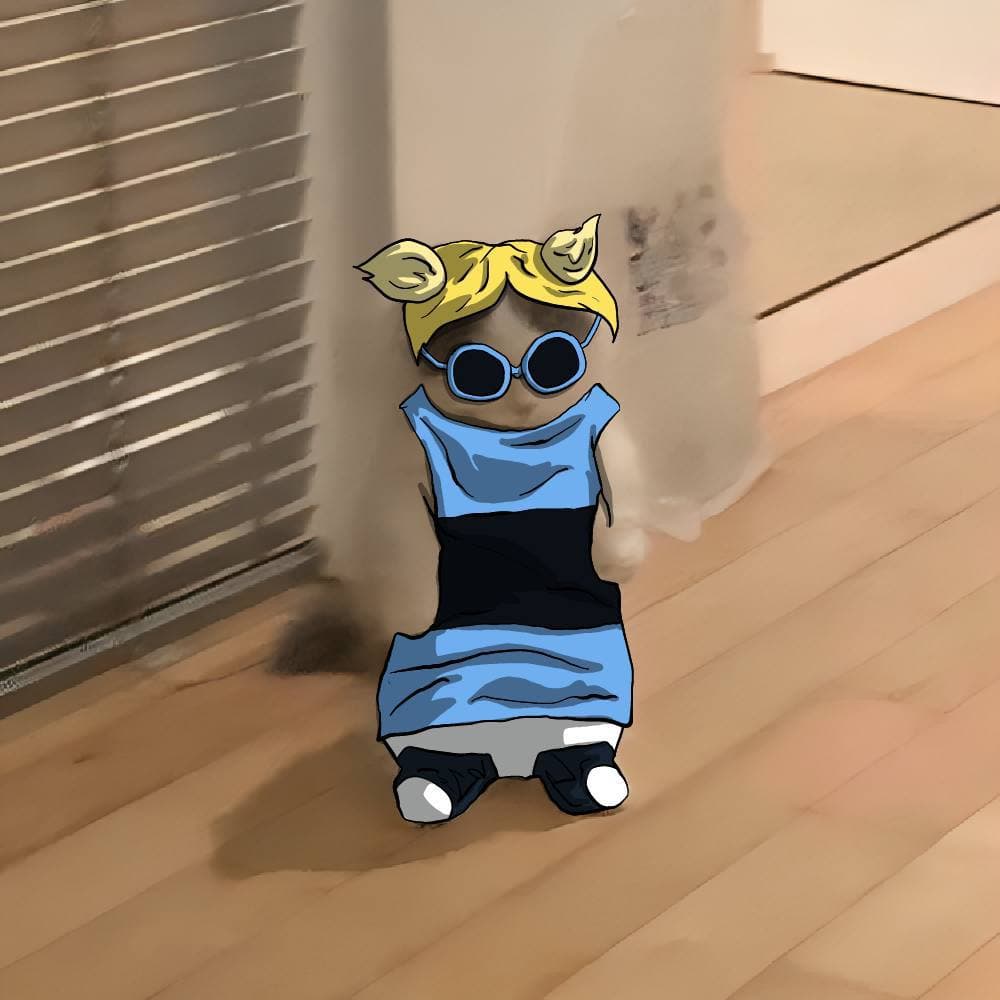 tv powderpuff girls blossom